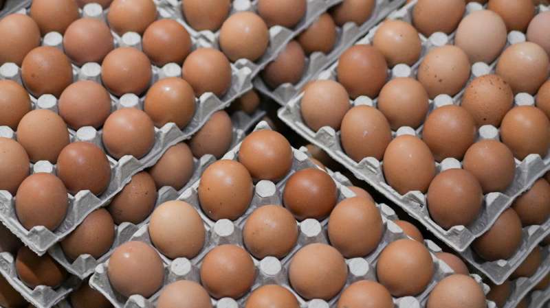 "Руспродсоюз" прокомментировал ситуацию с ценами на яйца