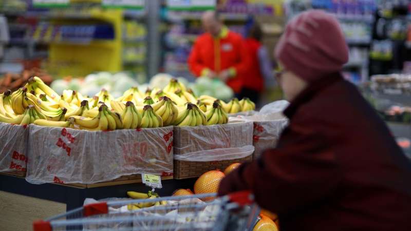 Экспортеры бананов из Эквадора хотят улучшить торговлю с Россией 