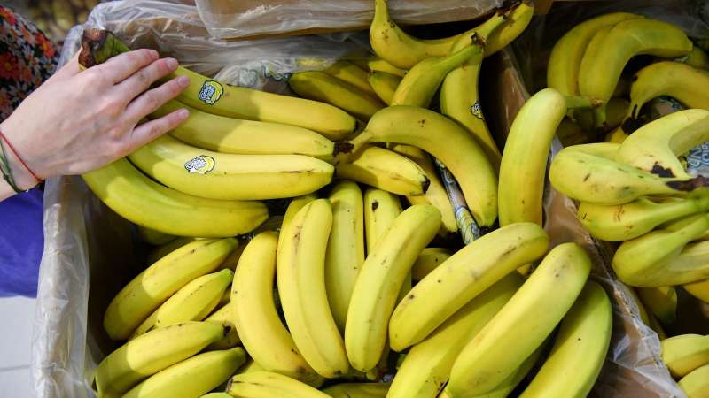 Индия отправила в Россию первую партию бананов