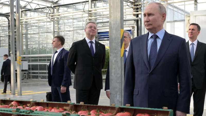 В Союзе экспортеров зерна рассказали о доле России на мировом рынке