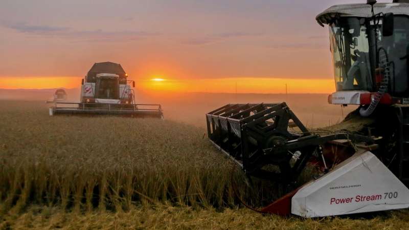 В Союзе экспортеров зерна рассказали о доле России на мировом рынке