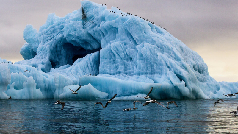 Эксперт оценила потери США из-за возможного запрета добычи нефти в Арктике