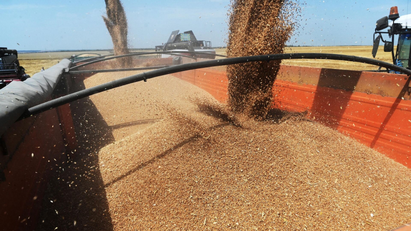 Россия в первом квартале поставила в Китай зерно на рекордную сумму