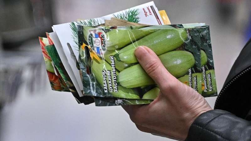 В России обнулили пошлины на ввоз ста тысяч тонн томатов