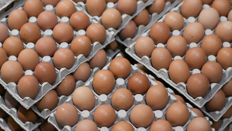 Белоруссия с начала года удвоила поставки яиц в Россию