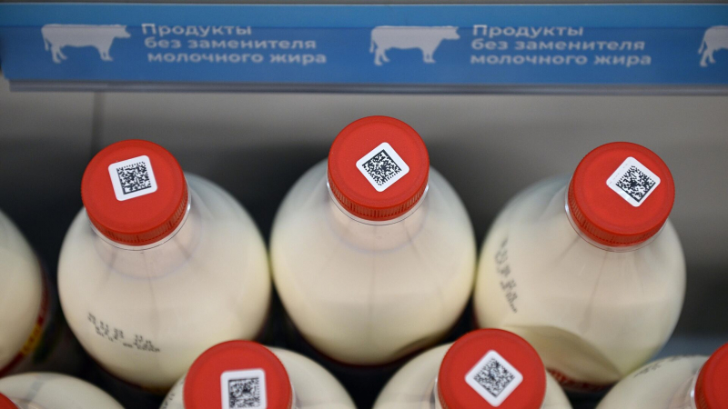 Маркировка молочной продукции принесла в бюджет почти 60 миллиардов рублей