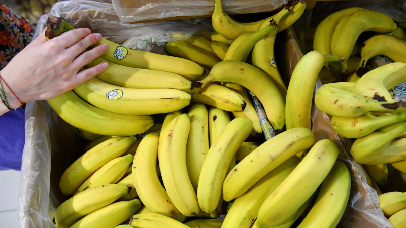 Промышленное выращивание бананов в России неперспективно, заявили ученые
