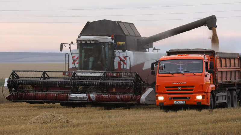 Путин назвал Россию первой страной мира по экспорту пшеницы