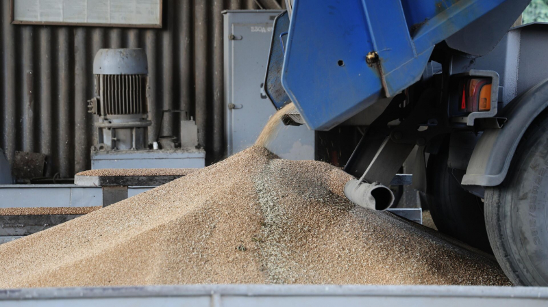 Россия обновила трехлетний рекорд экспорта зерна, заявили в "Русагротрансе"