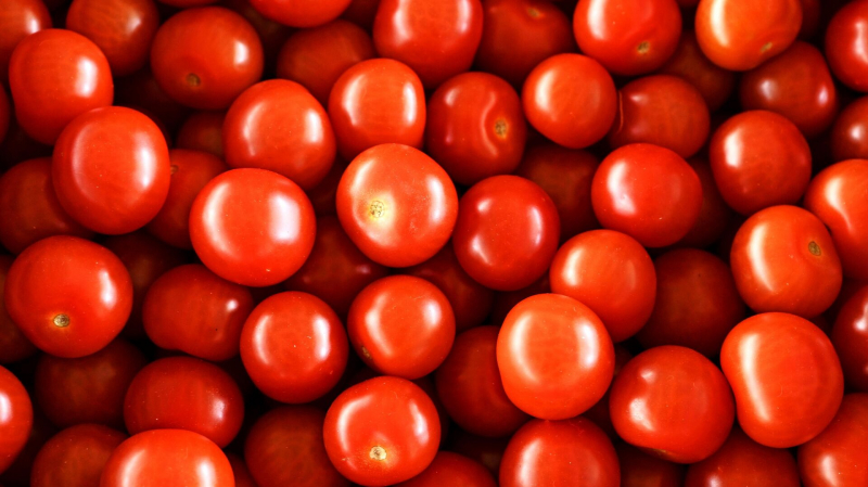 СМИ: российский завод томатной пасты сообщил о нехватке семян помидоров