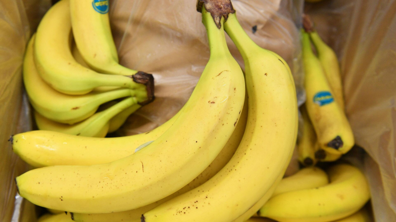 В Эквадоре оценили объем затронутого российскими мерами экспорта бананов