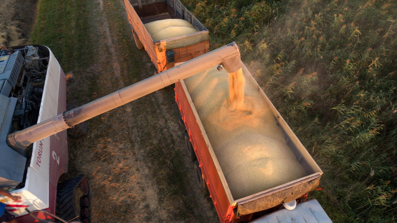 Запрет на экспорт риса из России продлили еще на полгода